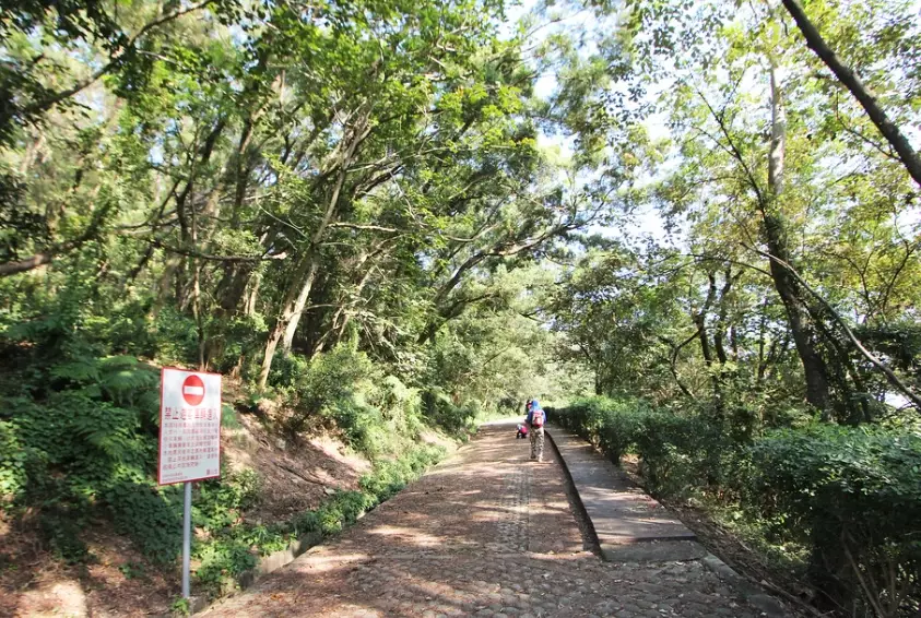 山林旅遊 山林旅遊