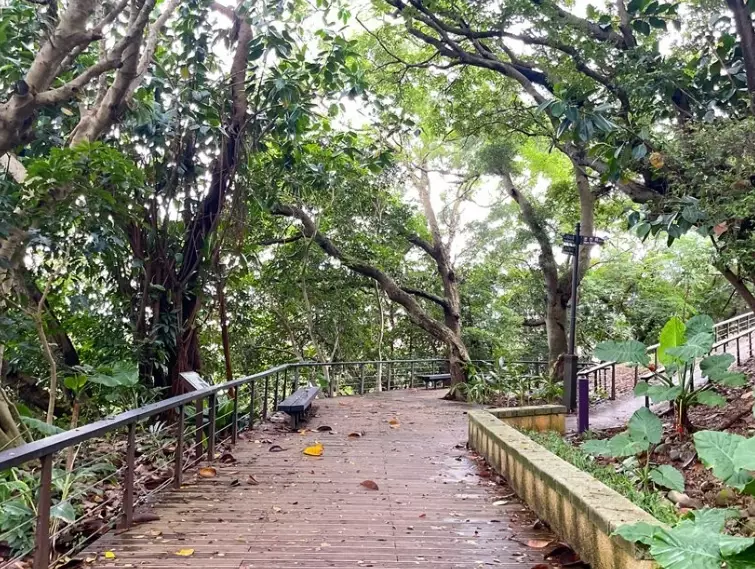 虎頭山公園怎麼去 虎頭山公園怎麼去