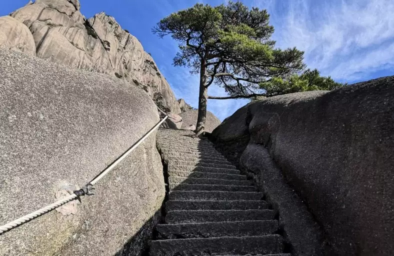 親子步道推薦 親子步道推薦