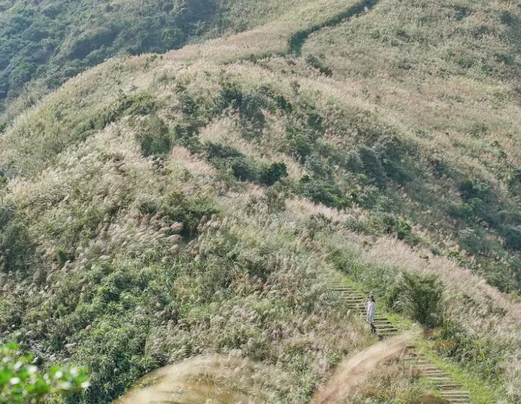 瑞芳景點交通方式 瑞芳景點交通方式