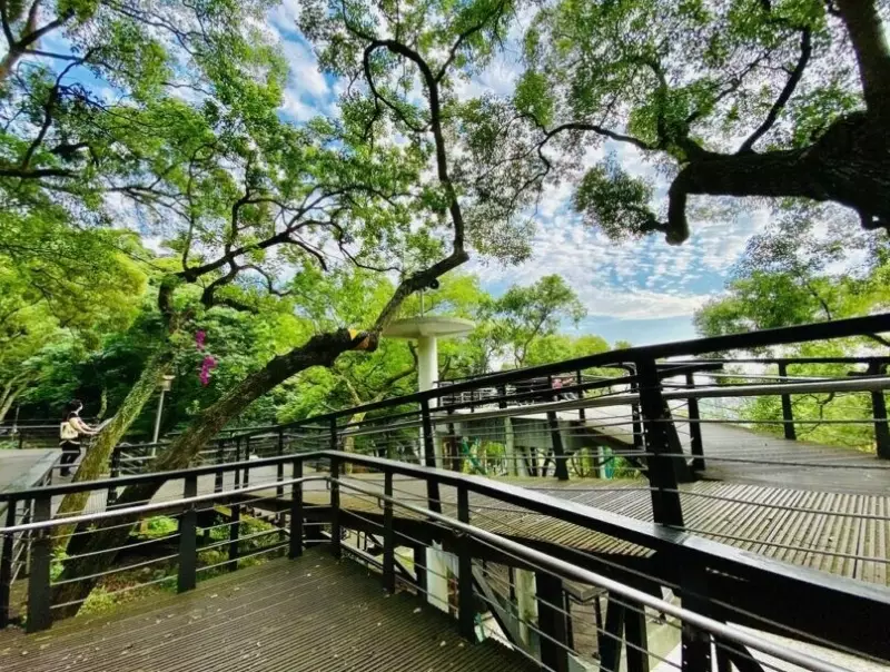 虎頭山公園怎麼去 虎頭山公園怎麼去