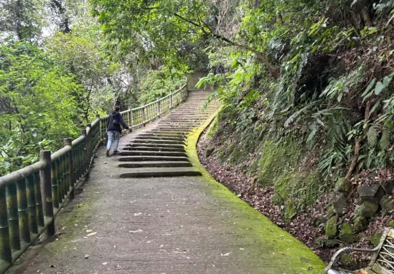 仙跡岩 登山步道