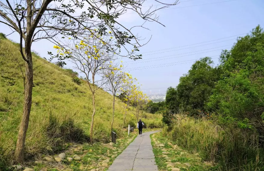 竹坑南寮o型 竹坑南寮o型