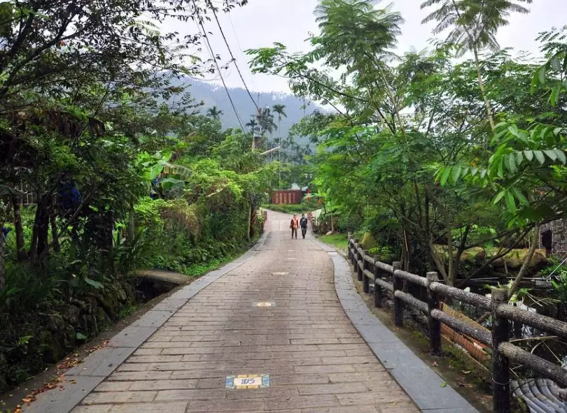 雲林登山步道 雲林登山步道