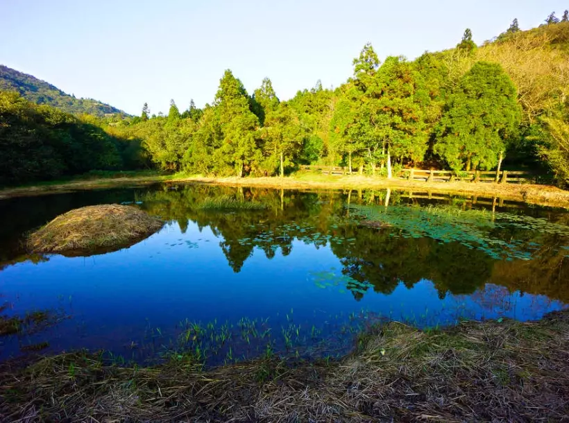 陽明山旅遊 陽明山旅遊
