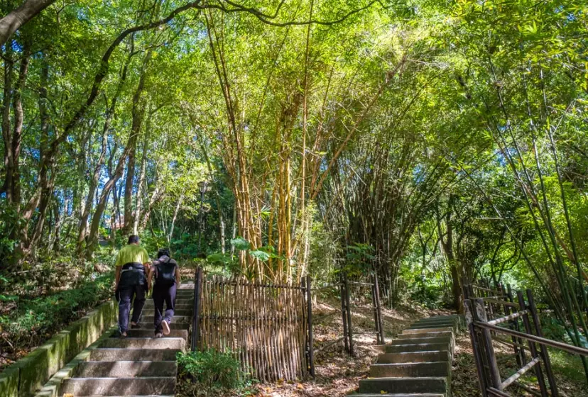 虎頭山公園怎麼去 虎頭山公園怎麼去