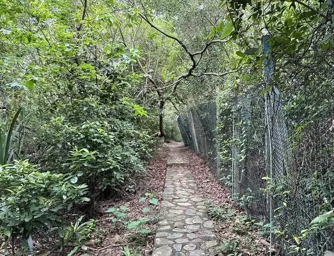 雲林健行路線 雲林健行路線