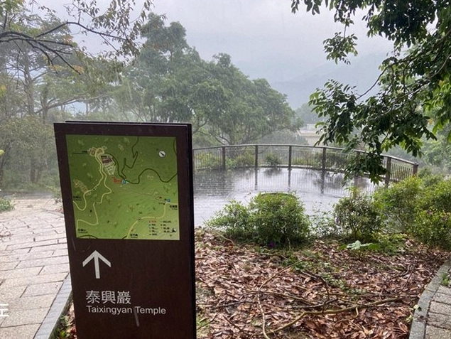 阿里山賞鳥 阿里山賞鳥