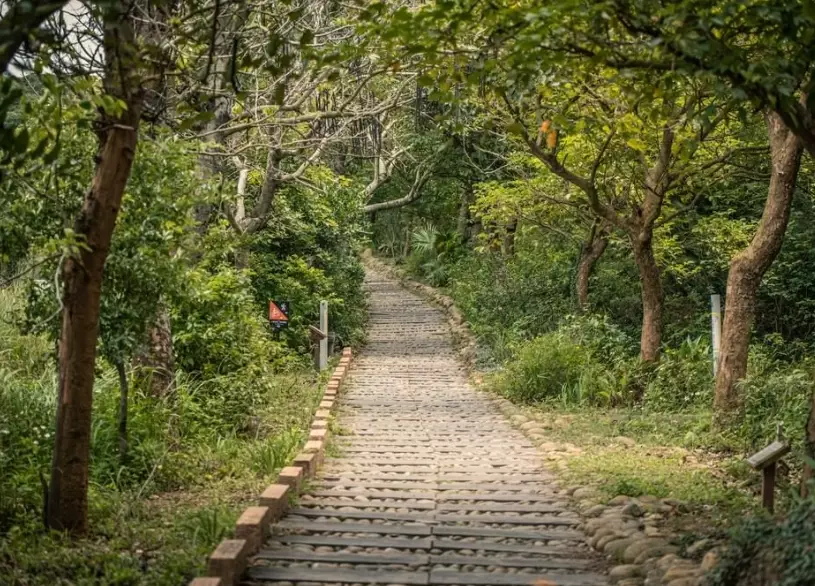 竹坑南寮登山古道 竹坑南寮登山古道