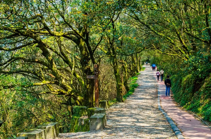 老人友善步道 老人友善步道