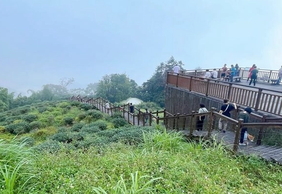 嘉義賞鳥地點 嘉義賞鳥地點
