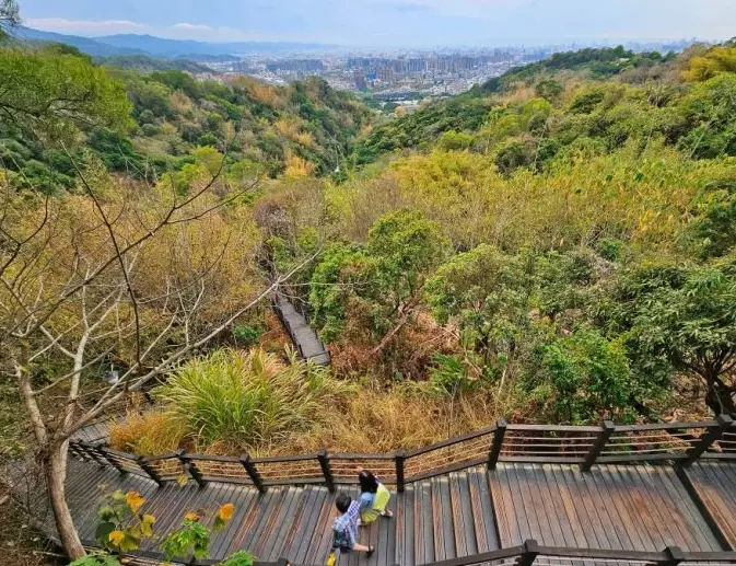 大坑9號步道 大坑9號步道