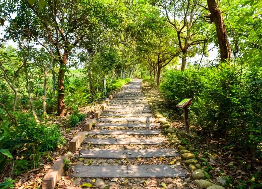 台中大肚登山步道
