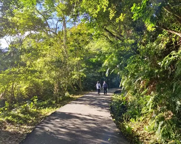 百吉林蔭步道難度 百吉林蔭步道難度