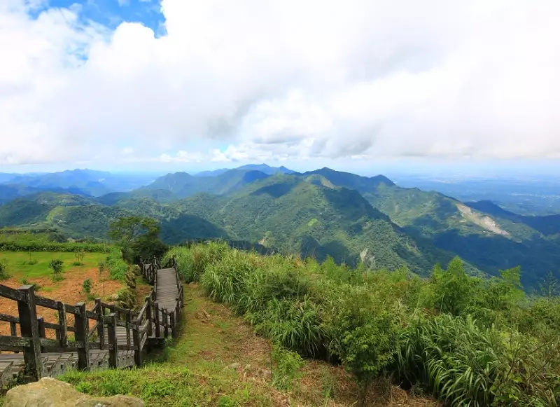 阿里山步道 阿里山步道