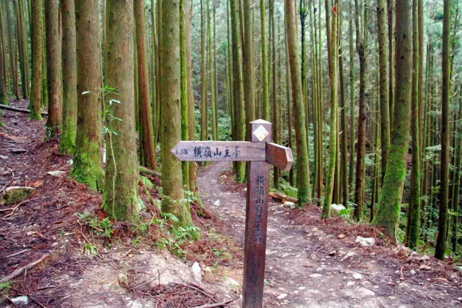大雪山登山步道 大雪山登山步道