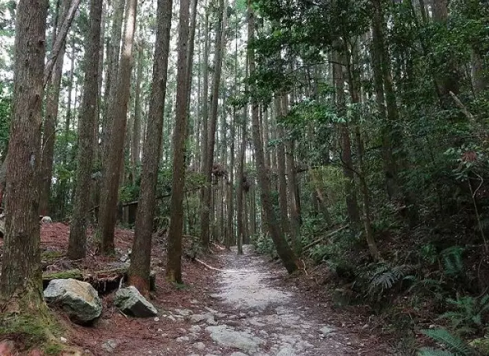 台中登山步道 台中登山步道
