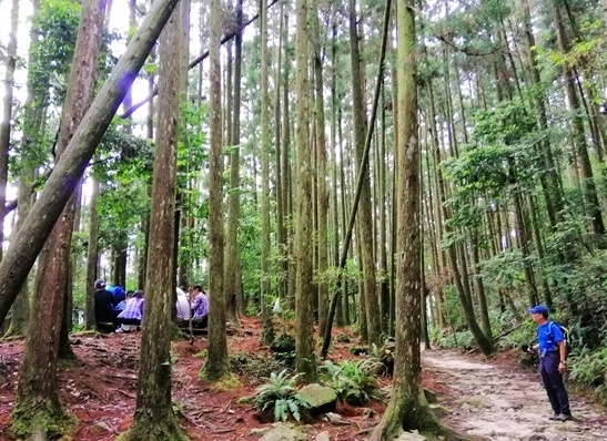台中登山步道 台中登山步道