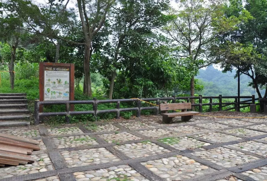 龍過脈森林步道 龍過脈森林步道
