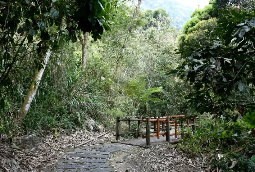 迷糊步道 交通 迷糊步道 交通