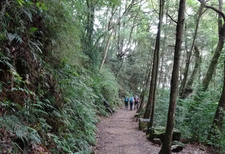 台中登山步道 台中登山步道