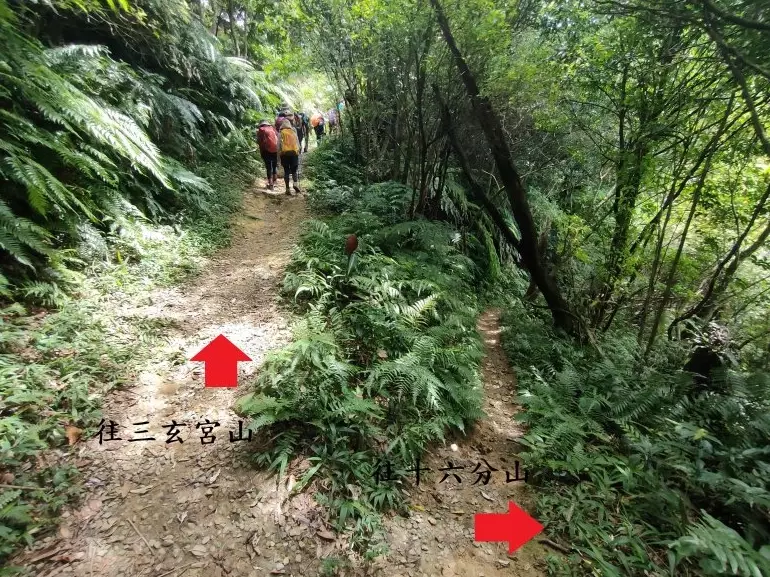 銀河洞登山攻略 銀河洞登山攻略