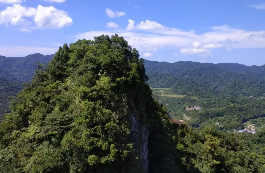 金面山步道 金面山步道