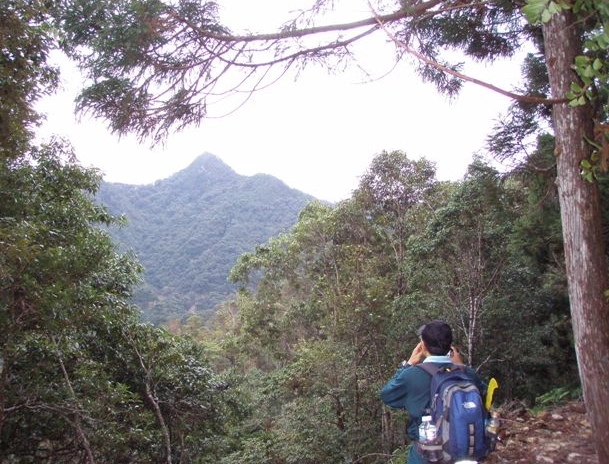 橫嶺山步道 橫嶺山步道