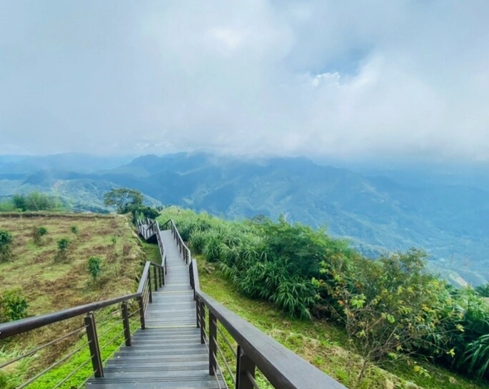 阿里山步道 阿里山步道