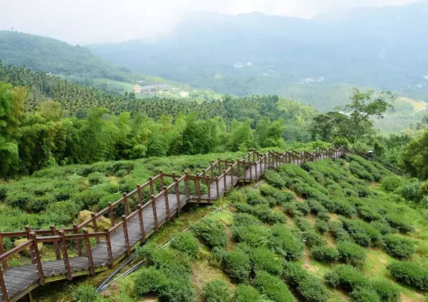 梅山景點