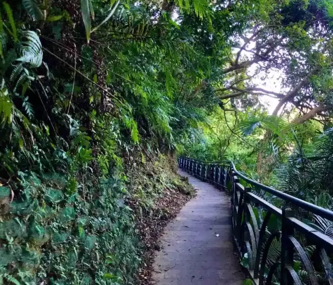 和美山步道距離 和美山步道距離