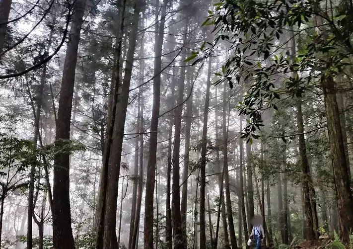 橫嶺步道交通 橫嶺步道交通