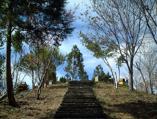 清境農場步道 清境農場步道