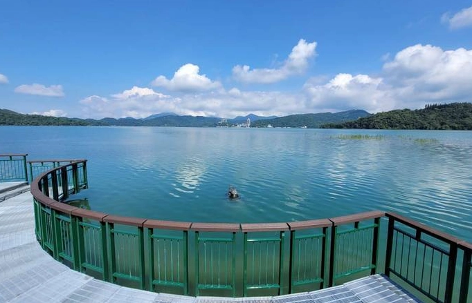 日月潭九蛙 日月潭九蛙