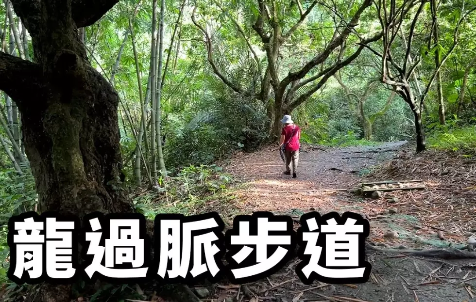 龍過脈森林步道 龍過脈森林步道