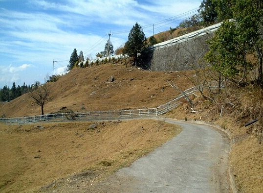 清境步道推薦 清境步道推薦
