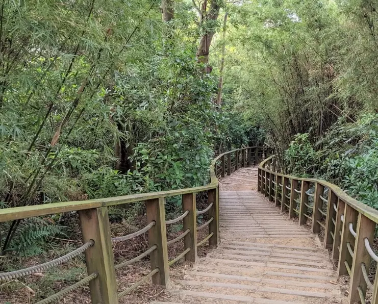 羊稠坑步道 羊稠坑步道