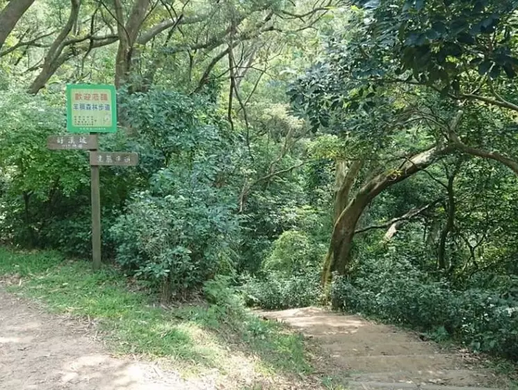 桃園健行步道 桃園健行步道
