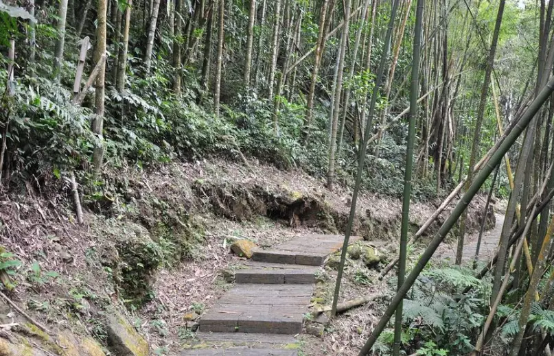 迷糊步道 徒步時間 迷糊步道 徒步時間