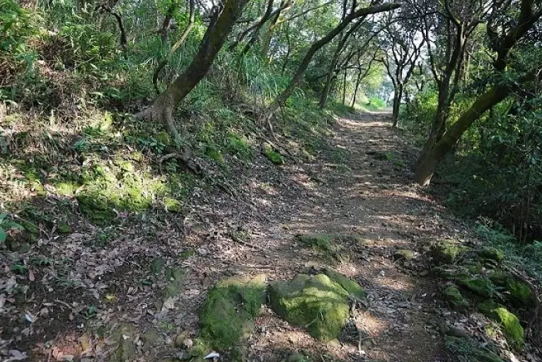 台北登山替代路線 台北登山替代路線