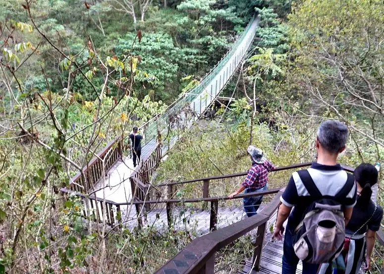 羅木斯溪步道交通 羅木斯溪步道交通