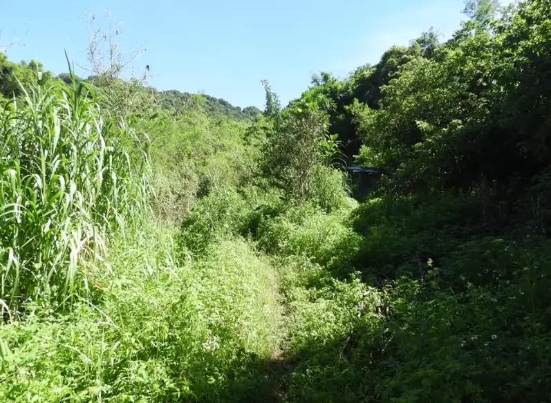 台東登山秘境 台東登山秘境