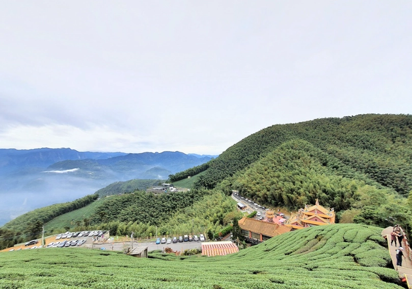 梅山茶園步道怎麼走 梅山茶園步道怎麼走