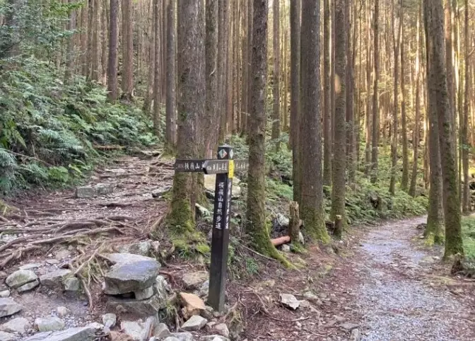 橫嶺山替代步道 橫嶺山替代步道