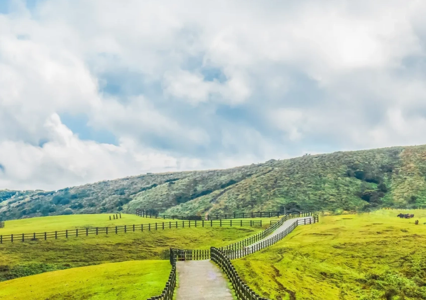 擎天崗環形步道 擎天崗環形步道