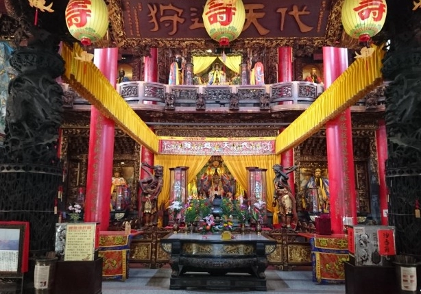 西港花旗木 西港花旗木