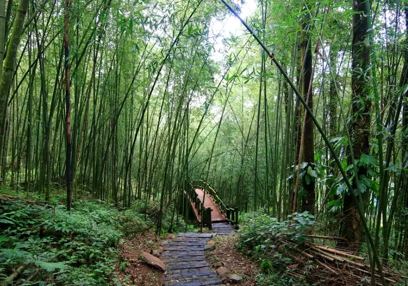 迷糊步道停车场 迷糊步道停车场