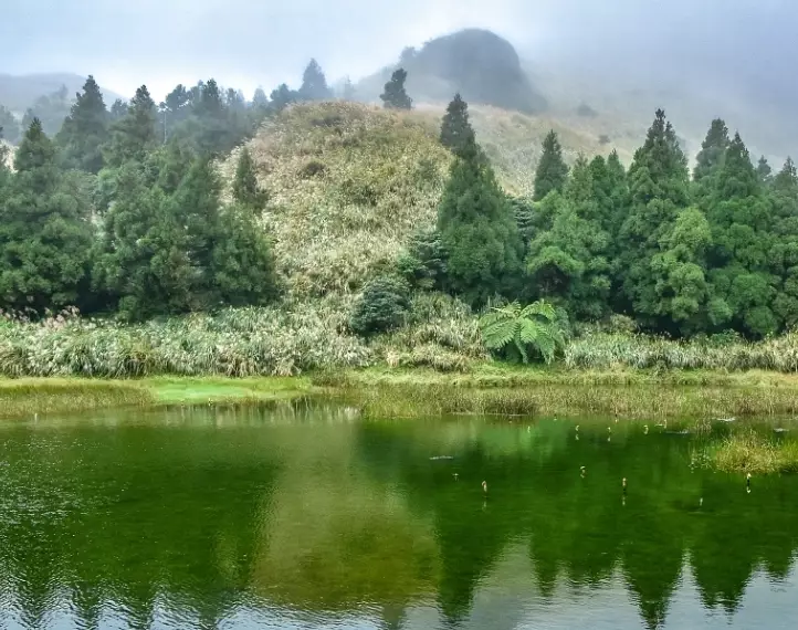 七星山登山步道 七星山登山步道