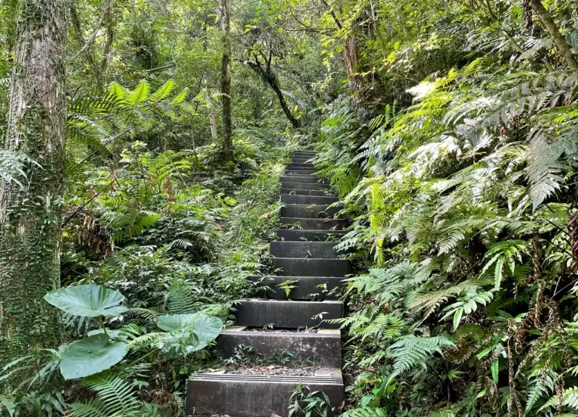 加九寮步道替代路線 加九寮步道替代路線