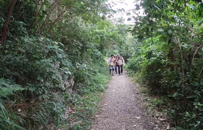 茶香步道推薦